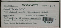 Image Associated With the Occurence
